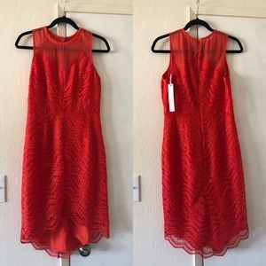ADELYNRAE orange lace dress size 2 NWT!